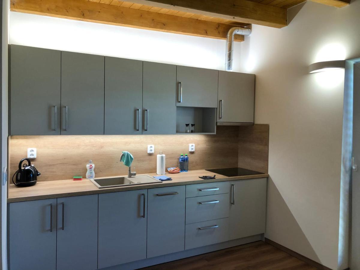 Anico Apartmany Dolni Benesov Exterior foto