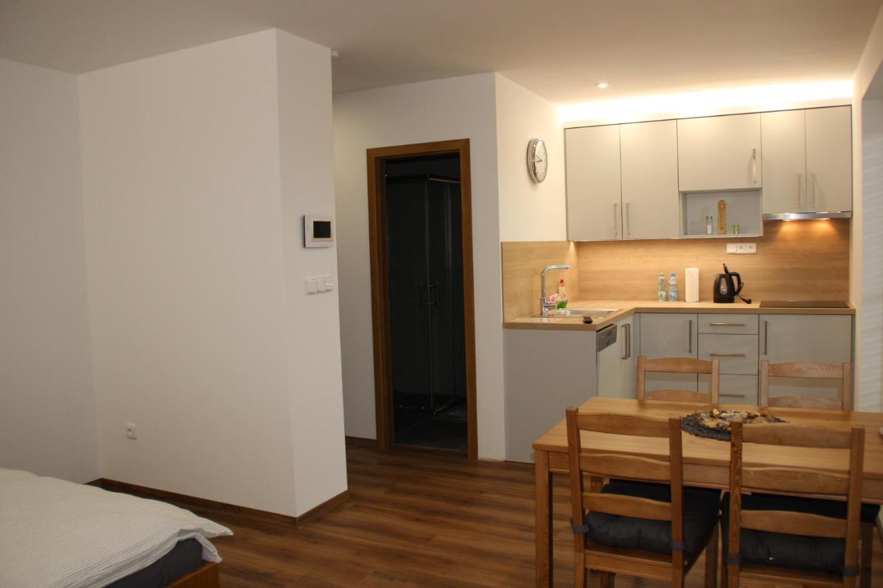 Anico Apartmany Dolni Benesov Exterior foto